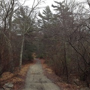 The Bridgewater Triangle