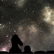 Bojack Horseman: 3X11- "That's Too Much, Man!"