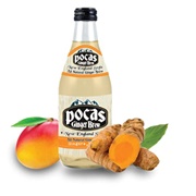Pocas Ginger Brew Ginger + Mango Turmeric