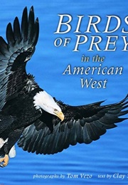 Birds of Prey in the American West (Tom Vezo)