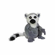 Ring Tailed Lemur