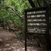Aokigahara - Japan Suicide Forest