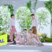 Not the End - HIGHLIGHT