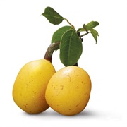 Marula Fruit