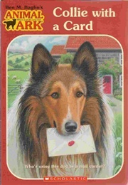 Collie With a Card (Lucy Daniels)