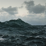 Repave (Volcano Choir, 2013)