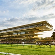 Hipódromo De Longchamp