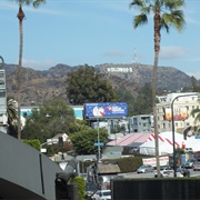 Hollywood Sign