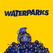 21 Questions - Waterparks
