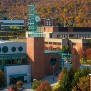 Binghamton University