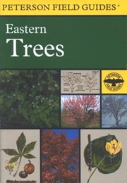 Peterson Field Guides Eastern Trees (George A. Petrides & Janet Wehr)