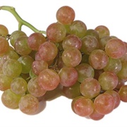 Muscat Grapes