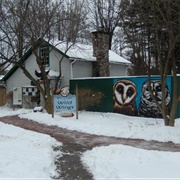 Wild Wings, Honeoye Falls, NY