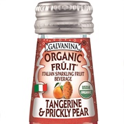 Galvanina Tangerine & Prickly Pear