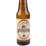 Reading Draft Apple Ginger Ale
