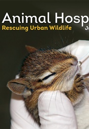 Animal Hospital: Rescuing Urban Wildlife (Julia Coey)