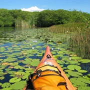 Biotopo Monterrico-Hawaii, Guatemala