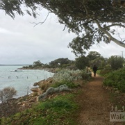 Coffin Bay Oyster Walk, Australia