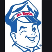 Mr Rooter