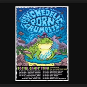 Psychedelic Porn Crumpets - Glitter Bug