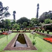 Durban Botanical Garden