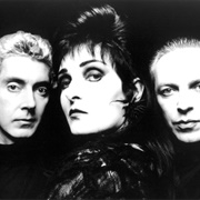 Siouxsie & the Banshees