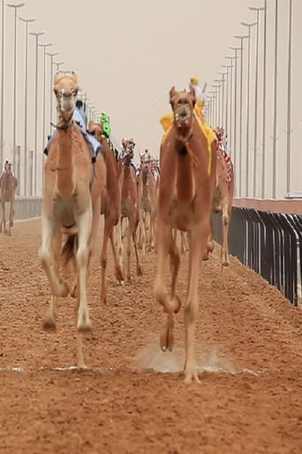The Camel Race (2018)