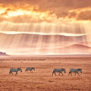 Ngorongoro Crater, Tanzania