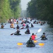 Dismal Swamp State Park