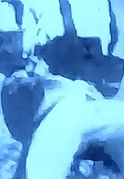 Time (Fitzgibbon) (1975)