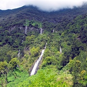Réunion National Park Forests