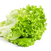 Apollo Lettuce