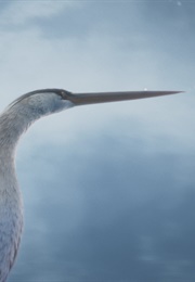 Under the Ice (2021)