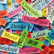 Try to Learn a New Language