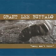 Honey Don't Think - Grant Lee Buffalo