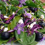 Violet Salad
