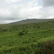 Merrivale Prehistoric Settlement