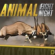 Animal Fight Club