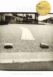 The Theory of Light and Matter (Andrew Porter)