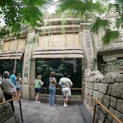 Shark Reef Aquarium at Mandalay Bay