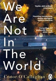We Are Not in the World (Conor O'Callaghan)