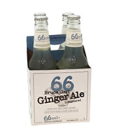 Bruce Cost Ginger Ale 66 With Monk Fruit