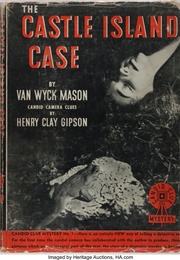 The Castle Island Case (F. Van Wyck Mason)