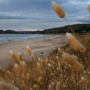 Ōakura, New Zealand