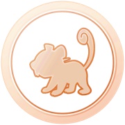 Youngster (Bronze)