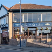 The Ash Tree - Ashton-Under-Lyne