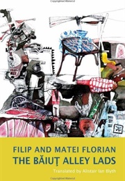 The Baiut Alley Lads (Filip and Matei Florian)