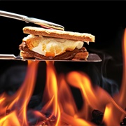 Roast Marshmallows Over a Fire and Make S'mores
