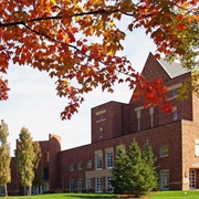 Bethel University