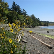 View Royal, British Columbia